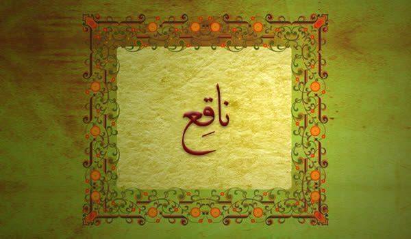 کلیدواژه: ناقع