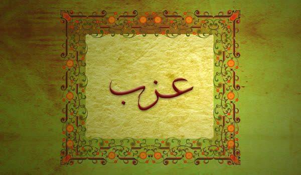کلیدواژه: عزب